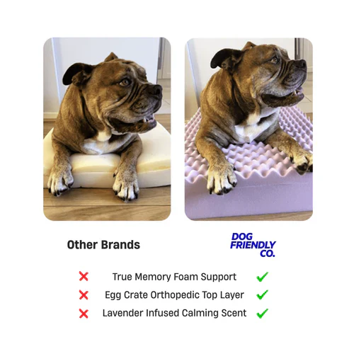 Thumbnail 21